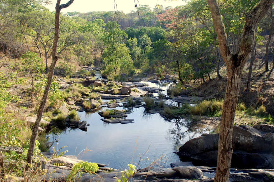 Dzalanyama Forest Reserve, Malawi