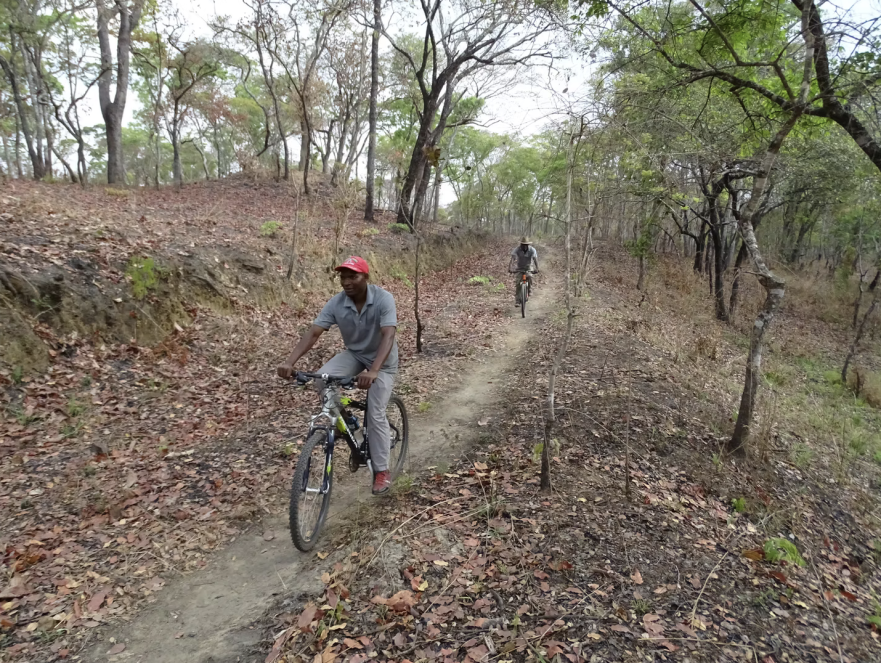 Dzalanyama Forest Reserve, Malawi