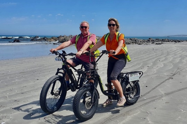 Cape Point e-bike tour