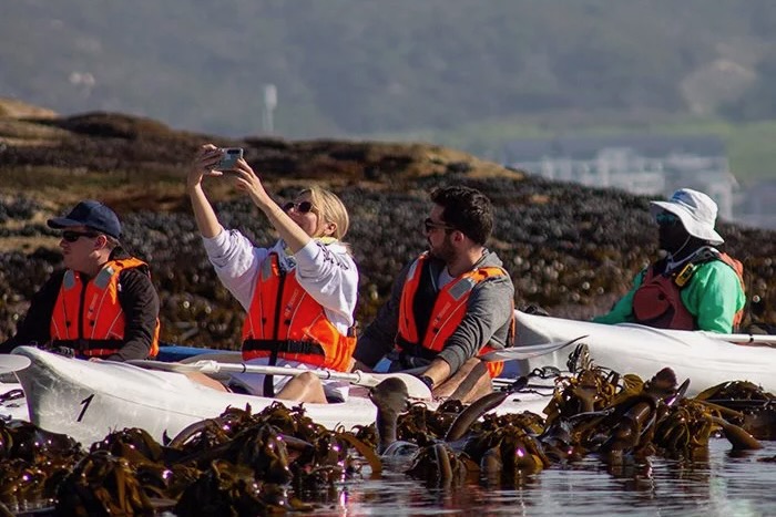 Sea kayak with penguins, Boulders Beach, Cape Town