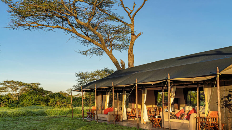 Lemala Migration Camp - Ndutu & Mara