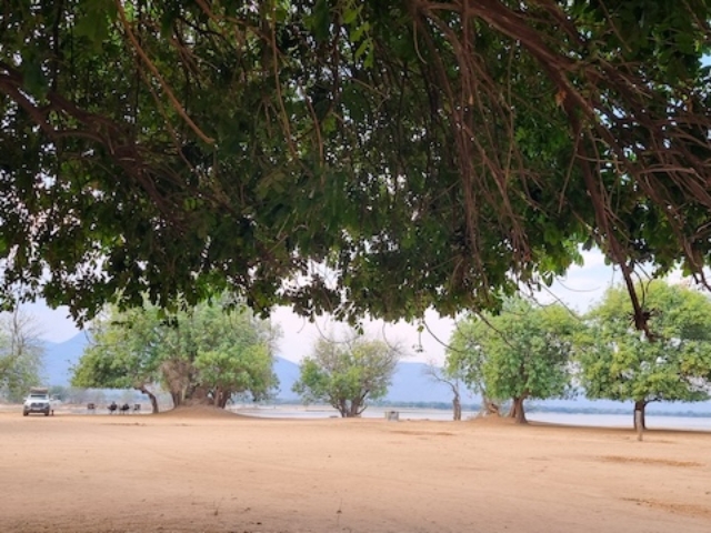 Nyamepi Campsite, Mana Pools National Park