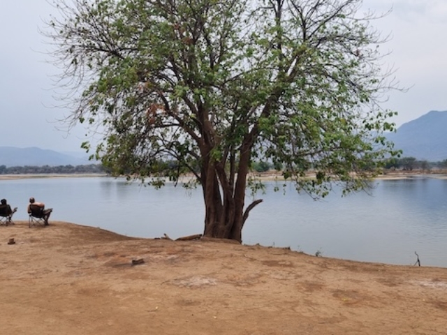 Nyamepi Campsite, Mana Pools National Park