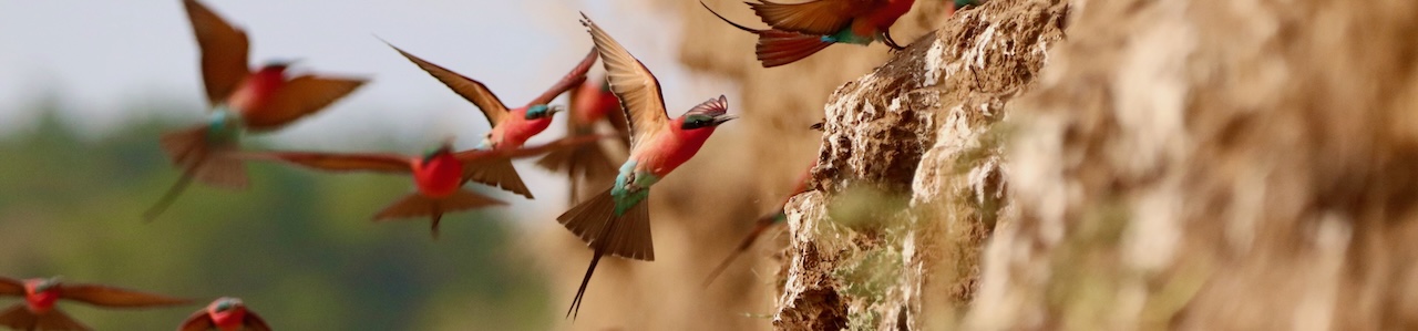 Zambia itineraries
