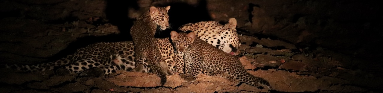 Zambia itineraries