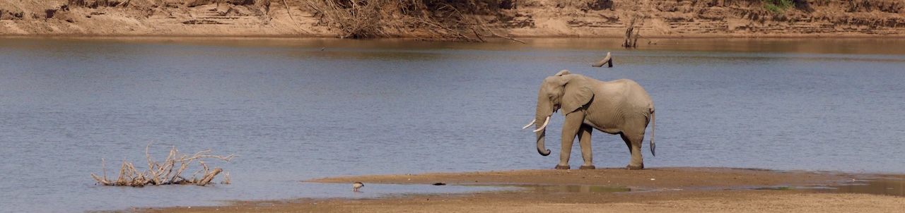 Zambia tours