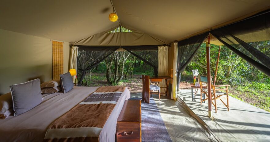 Encounter Mara Camp, Naboisho Conservancy, Kenya Encounter Mara Camp, Naboisho Conservancy, Kenya