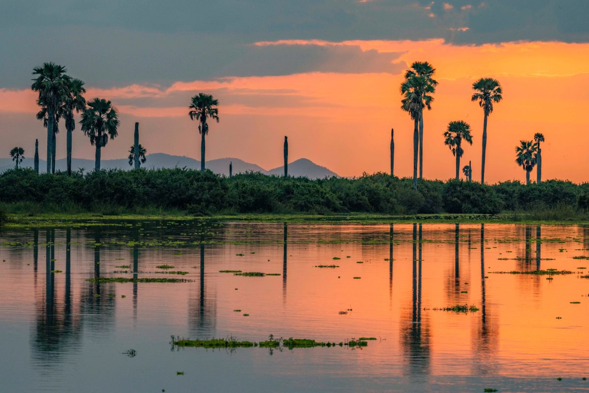 Usangu Wetlands, Ruaha NP, Tanzania